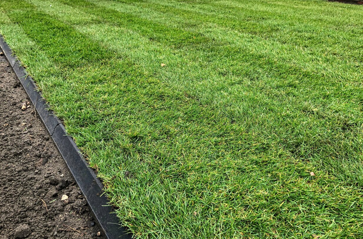 net aangelegde grasmatten met een boordsteen